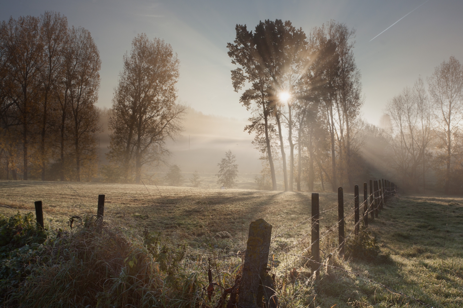 Winnaar fotowedstrijd "uit Horebeke"